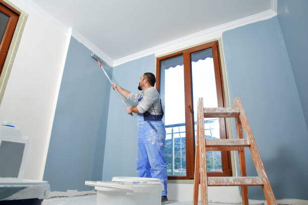 Best Post-Remediation Verification Testing  in Fernley, NV