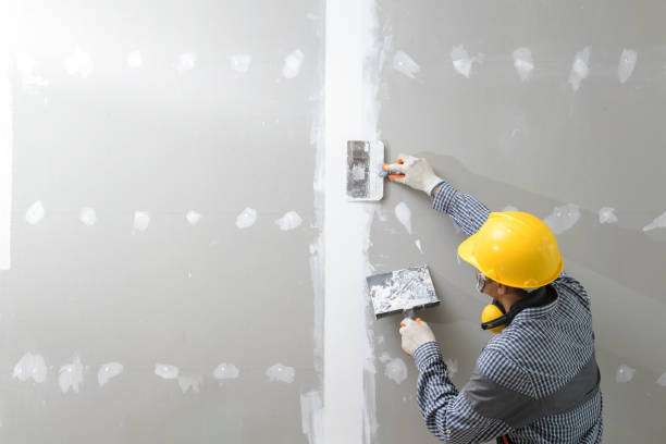 Best Mold-Related Health Consultation  in Fernley, NV