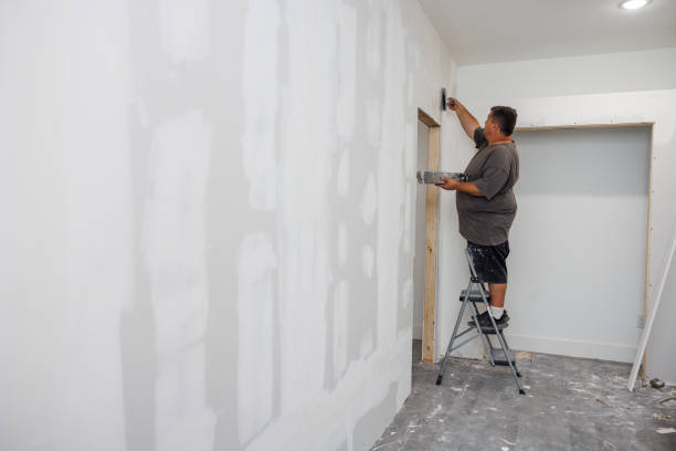Best Asbestos and Lead Testing During Mold Inspection  in Fernley, NV