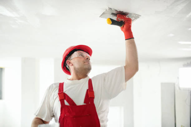Best Commercial Mold Inspection  in Fernley, NV