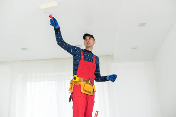 Best Environmental Consulting for Mold Prevention  in Fernley, NV