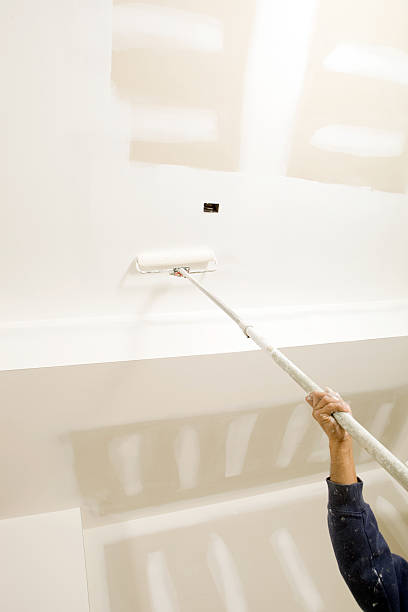Mold Odor Removal Services in Fernley, NV