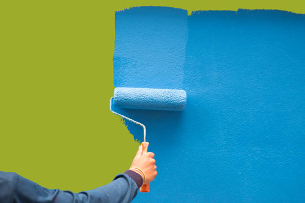 Best Post-Construction Mold Inspection  in Fernley, NV